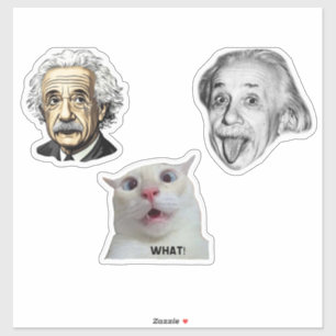 Pegatina de Einstein Genial y Gato Divertido 
