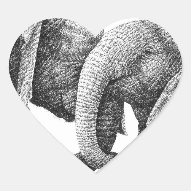 Pegatina de Elefantes Africanos (Anverso)