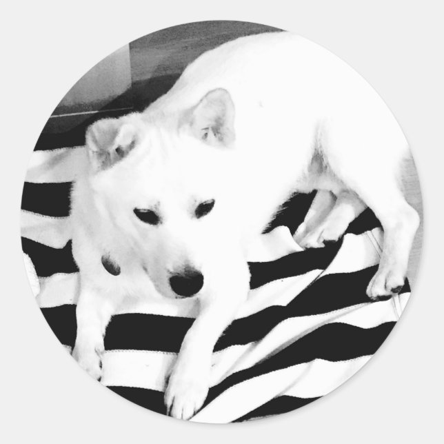 Pegatina de Eno blanco y negro (Anverso)