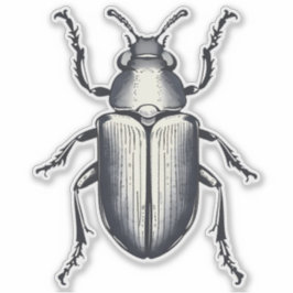 Pegatina de escarabajo negro