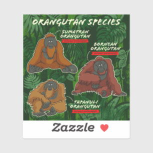 pegatina de "Especies de Orangután"