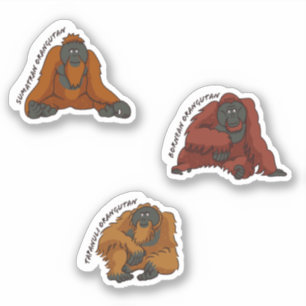 pegatina de "Especies de Orangután"