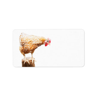 Pegatina de etiquetas de envío de arte de pollo lu