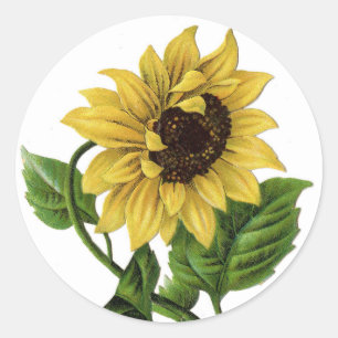 Pegatina de Flor Gráfica Amarilla Vintage