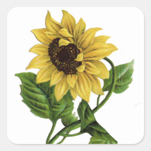 Pegatina de flor gráfico amarillo girasol vintage