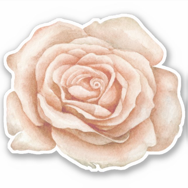 Pegatina de flor Rosa de acuarela (Anverso)