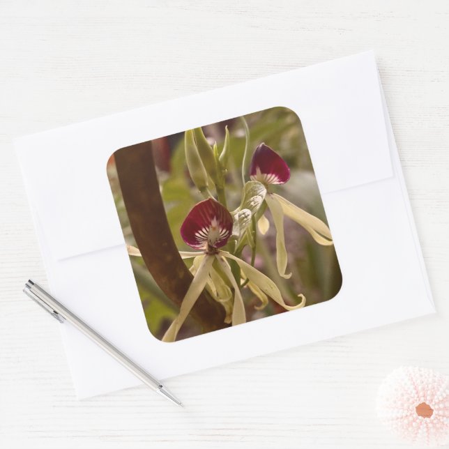 Pegatina de flores (Sobre)