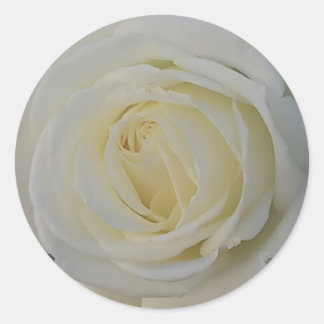 pegatina de flores blancas