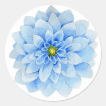 Pegatina de flores de Dahlia azul