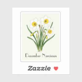 Pegatina de flores de narciso de diciembre