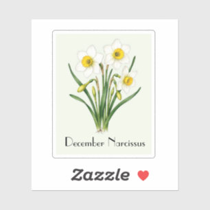 Pegatina de flores de narciso de diciembre