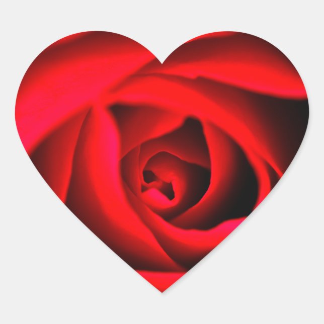 Pegatina de flores de rosa rojo (Anverso)