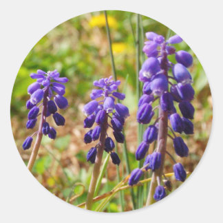 Pegatina de flores morado de la campana