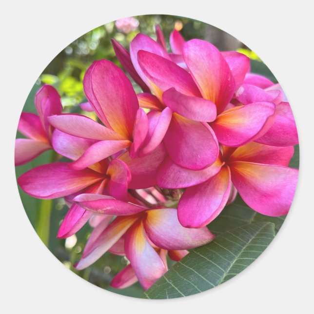 Pegatina de flores tropicales (Anverso)