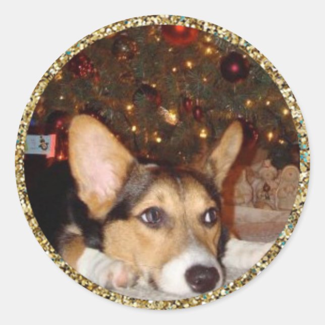 Pegatina de fotografía Purpurina de oro (Anverso)