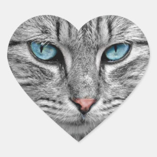 Pegatina de gato de ojos azules