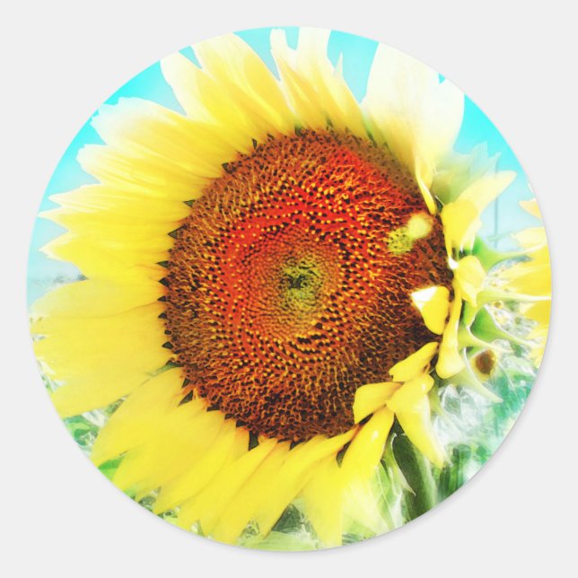 Pegatina de girasol (Anverso)