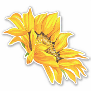 Pegatina de girasol