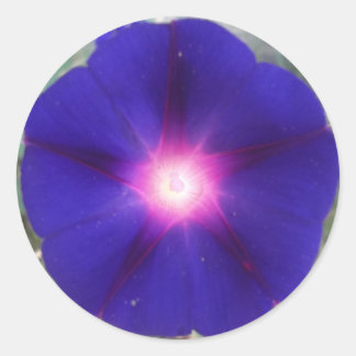 Pegatina de Gloria de la Mañana Oscura