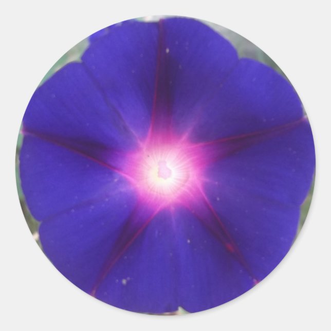 Pegatina de Gloria de la Mañana Oscura (Anverso)