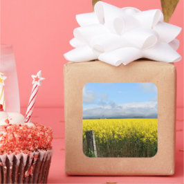 Pegatina de Golden Harvest Square