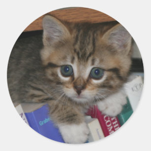 Pegatina de gusanos de libros