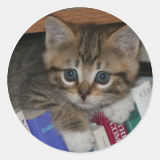 Pegatina de gusanos de libros