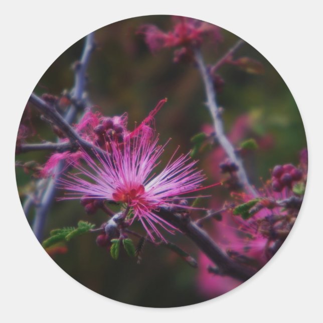 pegatina de hadas rosadas (Anverso)