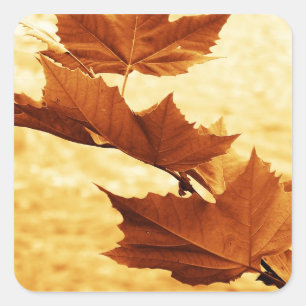 Pegatina de hoja de arce