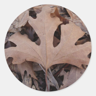 Pegatina de hoja de otoño