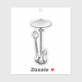 Pegatina de hongos largos