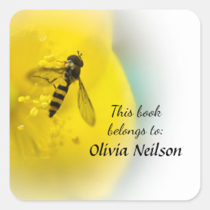 Pegatina de Hoverfly "Este libro le pertenece"