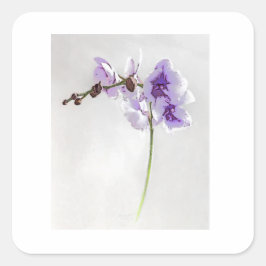 PEGATINA DE IMPRESIÓN BLOSSOM