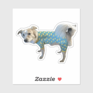 Pegatina de JpJ de ganso de tarifa - Perro Adorabl