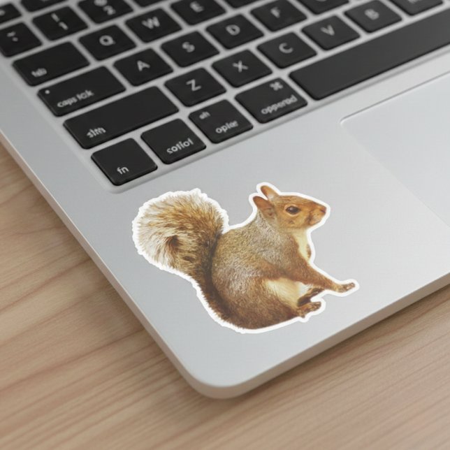 Pegatina de la ardilla gris oriental (The perfect find for squirrel fans.)