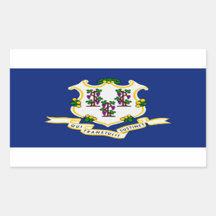 Pegatina de la bandera del estado de Connecticut