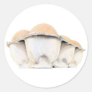 Pegatina de la caja de huevos