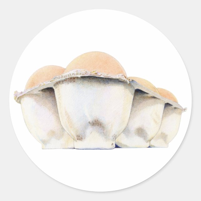 Pegatina de la caja de huevos (Anverso)