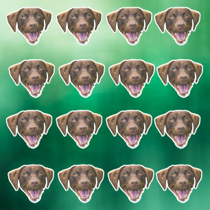 Pegatina de la cara del perro personalizado, regal