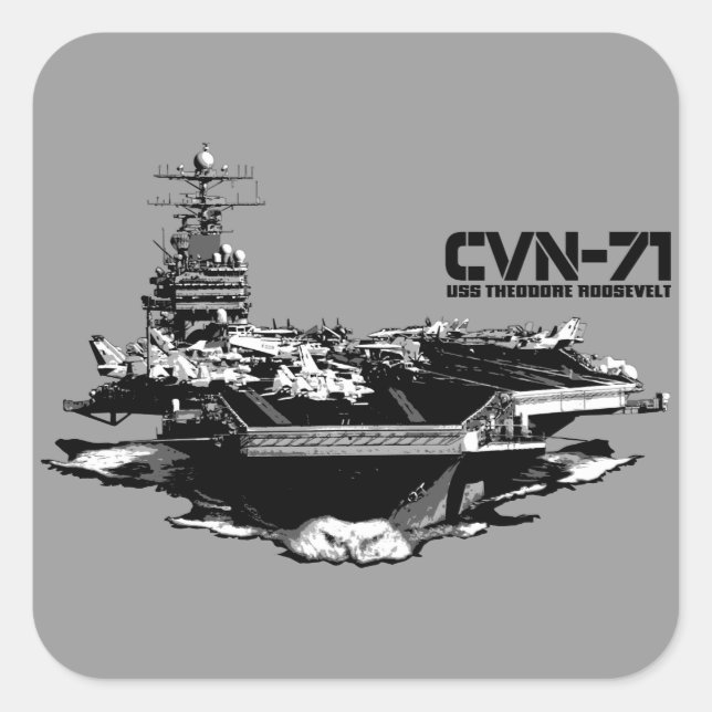 Pegatina de la compañía aérea Theodore Roosevelt (Anverso)