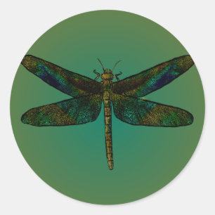 Pegatina de la huida del atardecer de septiembre