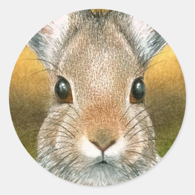 pegatina de la liebre 18 (Anverso)