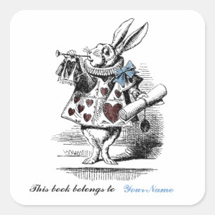 Pegatina de la placa de biblioteca de conejos blan