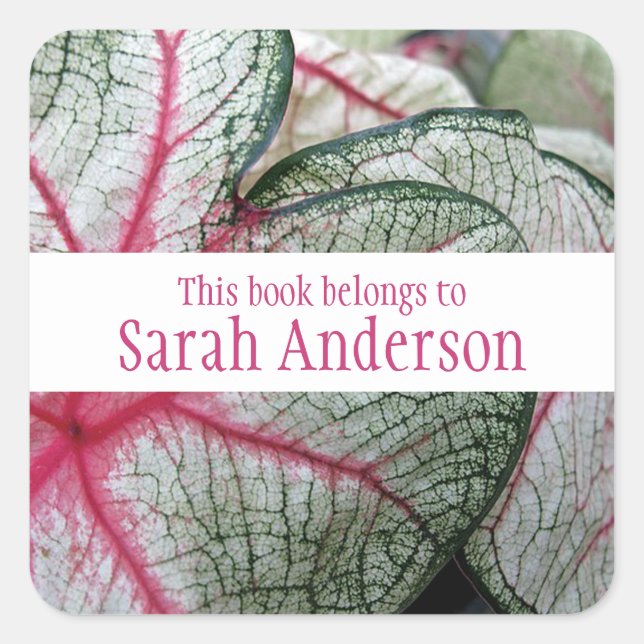 Pegatina de la placa de la biblioteca de diseño de (Anverso)