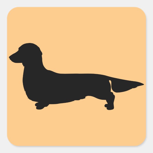 Pegatina de la plaza Long Hair Dachshund (Anverso)