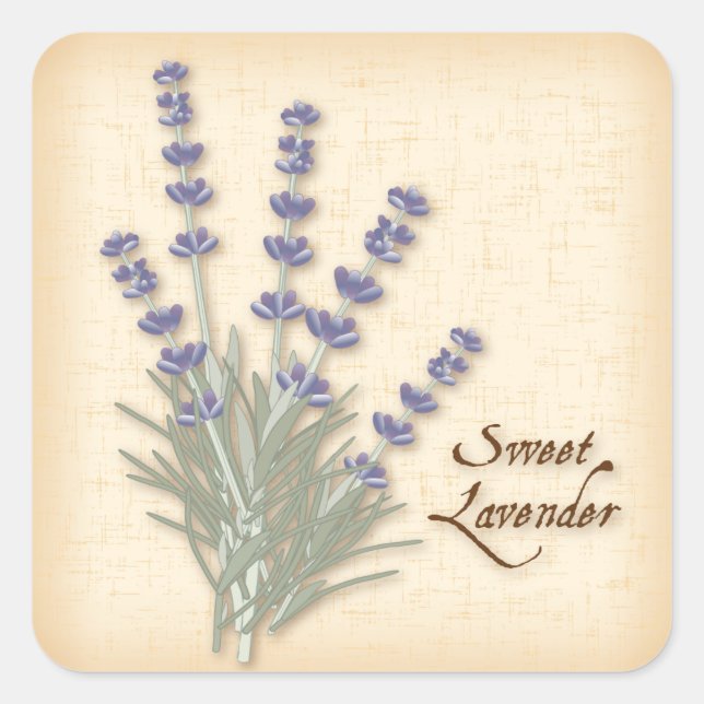 Pegatina de la plaza Sweet Lavender (Anverso)