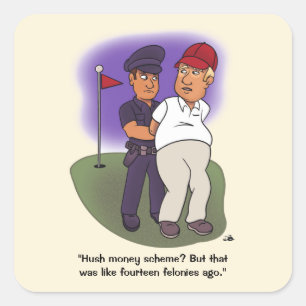 Pegatina de la Plaza Trump Felonies