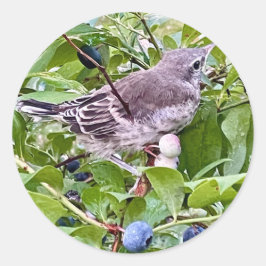 Pegatina de la rama de Bird on Blueberry