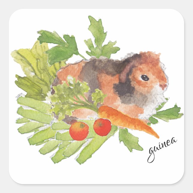 Pegatina de la salada de garganta de garganta de c (Anverso)