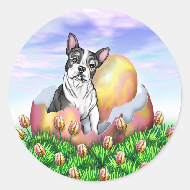 Pegatina de la sorpresa de Boston Terrier Easter (Anverso)